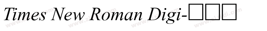 Times New Roman Digi字体转换